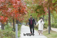 [포토] 가을단풍 절정에 17일부터 ‘단풍방역’ 강화