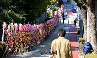 [포토] "내가 윤석열이다"… 150개로 늘어난 대검 앞 '윤석렬 응원 화환' 