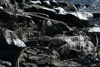 [포토] 강변에 얼어붙은 고드름, 이번 한파 17일까지 지속