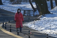 [포토] 매서운 한파 속에 산책하는 시민들