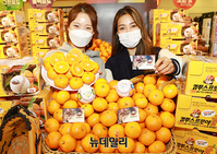 [포토] 롯데마트X컴투스프로야구 "감귤먹고 게임아이템 받으세요"