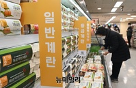 [포토] 조류인플루엔자(AI)로 달걀 가격 전년보다 45.8% 급등