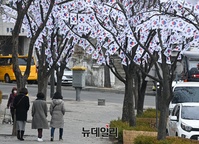 [포토] 삼일절 앞두고 태극기 내걸린 효창공원