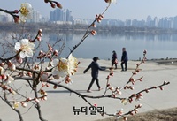 [포토] 절기상 ‘경칩(驚蟄)’ 낮 15도 이상 포근한 날씨