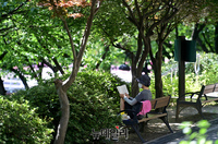 [포토] 그늘서 더위 피하는 시민...오후부터 곳곳에 소나기