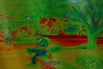 [포토] 열화상카메라 어플로 본 가마솥 더위