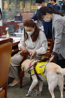 [포토] 조이와 함께 문체위 참석한 김예지 의원