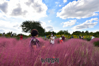 [포토] 가을 즐기는 시민들