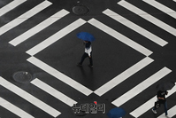 [포토] 비 내리는 '한로'