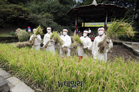 [포토] 2021 청의정 벼베기 행사