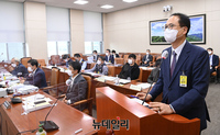 [포토] 국정감사 출석한 이헌수 서울지방고용노동청 청장