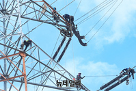 [포토] 판교 대장동 송전탑 해체 작업