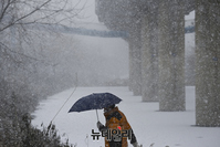 [포토] 서울 비롯한 서부지역, 첫 대설주의보 발령
