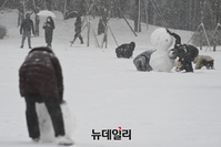 [포토] 올겨울 첫 대설주의보 발령, 눈사람 만드는 시민들