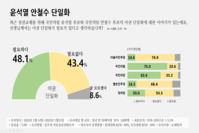 [뉴데일리 여론조사] '이재명 경쟁력' 윤석열 47.1% vs 안철수 29.5%