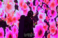 [포토] 국립중앙도서관 '지식의 길'...15일부터 일반에 공개