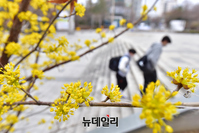 [포토] 쌀쌀한 봄 날씨, 환절기 건강관리 유의