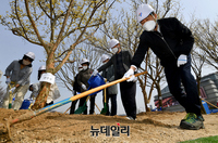 [포토] 세종공원서 산수유나무 심는 오세훈 시장