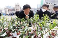 [포토] 오세훈 시장, 식목일 '내 나무 갖기' 행사 참석
