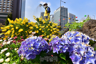 [포토] 포근한 봄 날씨...일교차 커 건강유의