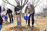 [포토] 율곡로 녹지생태축 공원서 나무에 물 주는 오세훈 시장