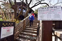 [포토] 개방된 '북악산 남측면' 등산하는 시민들