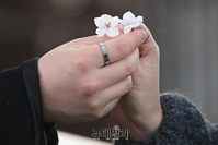 [포토] 3년 만에 개방된 여의도 벚꽃길