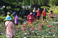 [포토] 전국 맑고 큰 일교차...산책하는 시민들