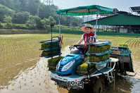 [포토] 이양기로 모심는 김진태 강원도지사 후보