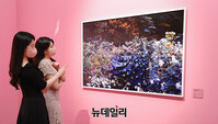 [포토] 현대백화점, 패션사진 기획전 '매직샷展' 오픈