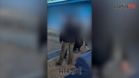 [영상] "야야야 잡아"... 탈북어민 강제북송 영상 공개
