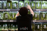 [포토] 정부, 2027년까지 채소가격안정제 확대