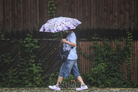 [포토] 태풍 영향으로 곳곳에 내린 비