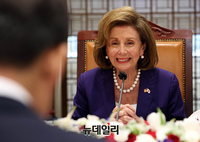[포토] 회담 갖는 김진표·낸시 펠로시