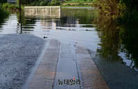 [포토] 탄천·양재천 곳곳 침수 "자전거·산책 주의하세요"
