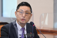 [포토] 국감 출석한 안철현 애플코리아 부사장