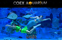 [포토] 코엑스아쿠아리움 '크리스마스를 찾으세요?'