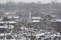 [포토] 눈 쌓인 봉은사