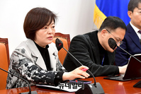 [포토] 행안부장관 탄핵심판 TF회의서 발언하는 진선미 의원