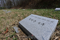 [포토] 파주 적성면 북한군 적군묘