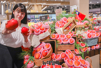 [포토] 현대백화점 "대만서 온 '애플망고' 맛보세요"