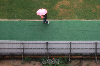 [포토] 초복에 내리는 장맛비