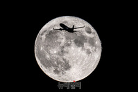 [포토] 비행기 담은 '슈퍼 블루문'