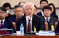 [포토] 의원들의 질문에 답하는 정형식 대전고등법원장