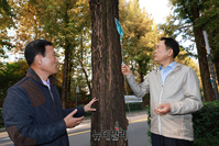 [포토] 양재천 메타세쿼이아 구하기 나선 조성명 강남구청장