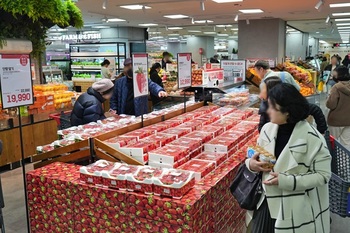 롯데마트·슈퍼, 산지서 당일 새벽 수확한 '초신선 딸기' 판매 