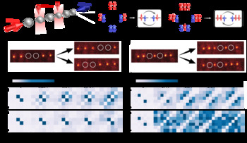 KAIST, 양자 컴퓨터로 새로운 물성 연구 ‘성공’