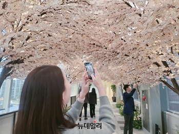 [포토] 신세계 경기점 "매장 곳곳에 활짝 핀 '벚꽃' 구경하세요"