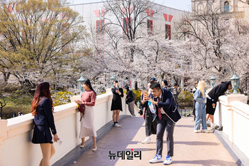 [포토] '벚꽃 맛집' 롯데월드 봄날 즐기는 시민들