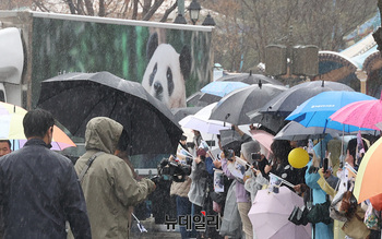 [포토] '잘가 푸바오' 배웅나온 시민들